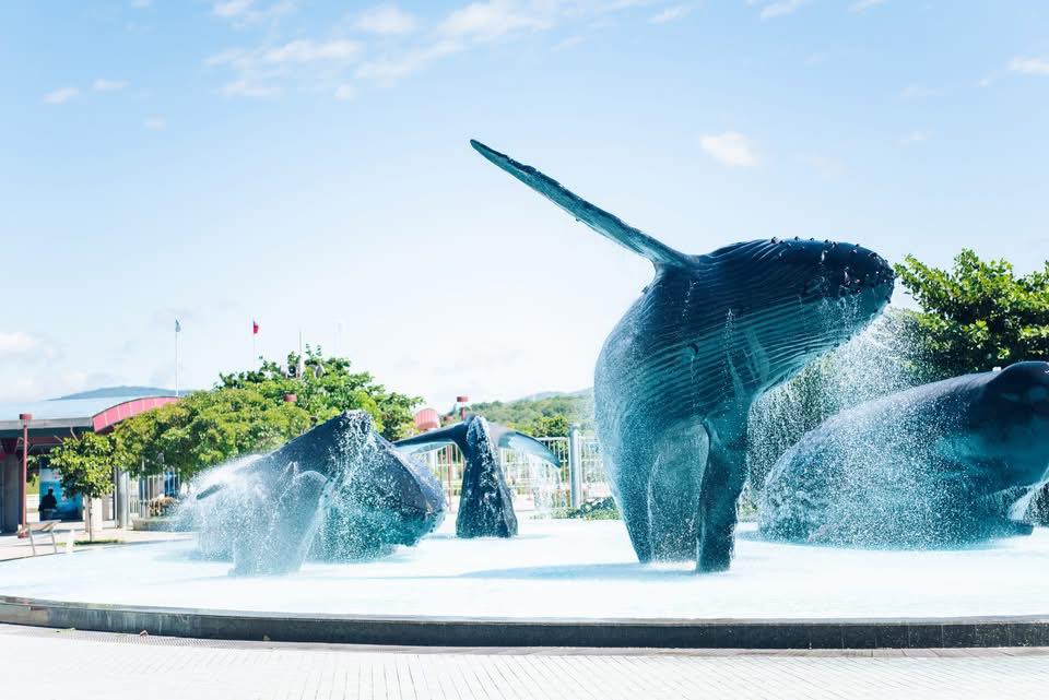 National Museum of Marine Biology & Aquarium (NMMBA)
